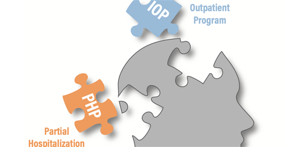 Extend PHP and IOP Coverage to All Texans